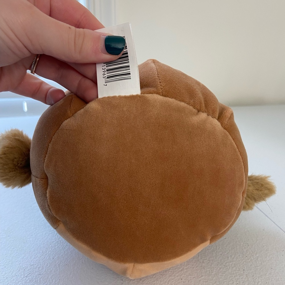 NWOT Avery the Duck with plaid hat 8 inch Squishmallow plush stuffed animal - Picture 4 of 5